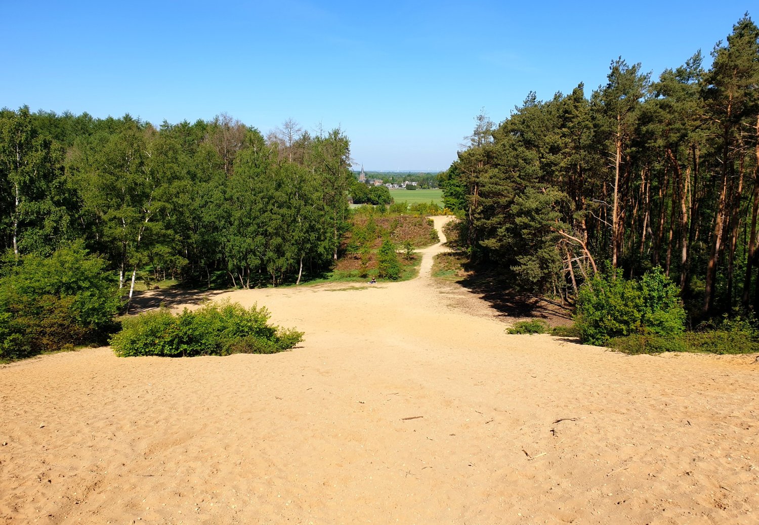 Uitzicht op Beek